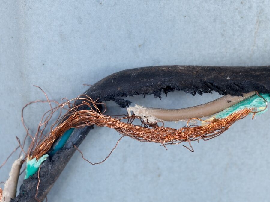 Biglen siebenschlaefer-kabel-kaputt-schaden.jpg